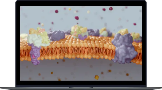 3D Scientific animation & video