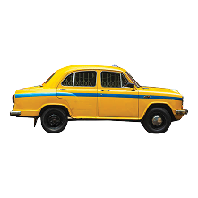 Peacock with vibrant blue body and elaborate green tail feathers with eye-like patterns.