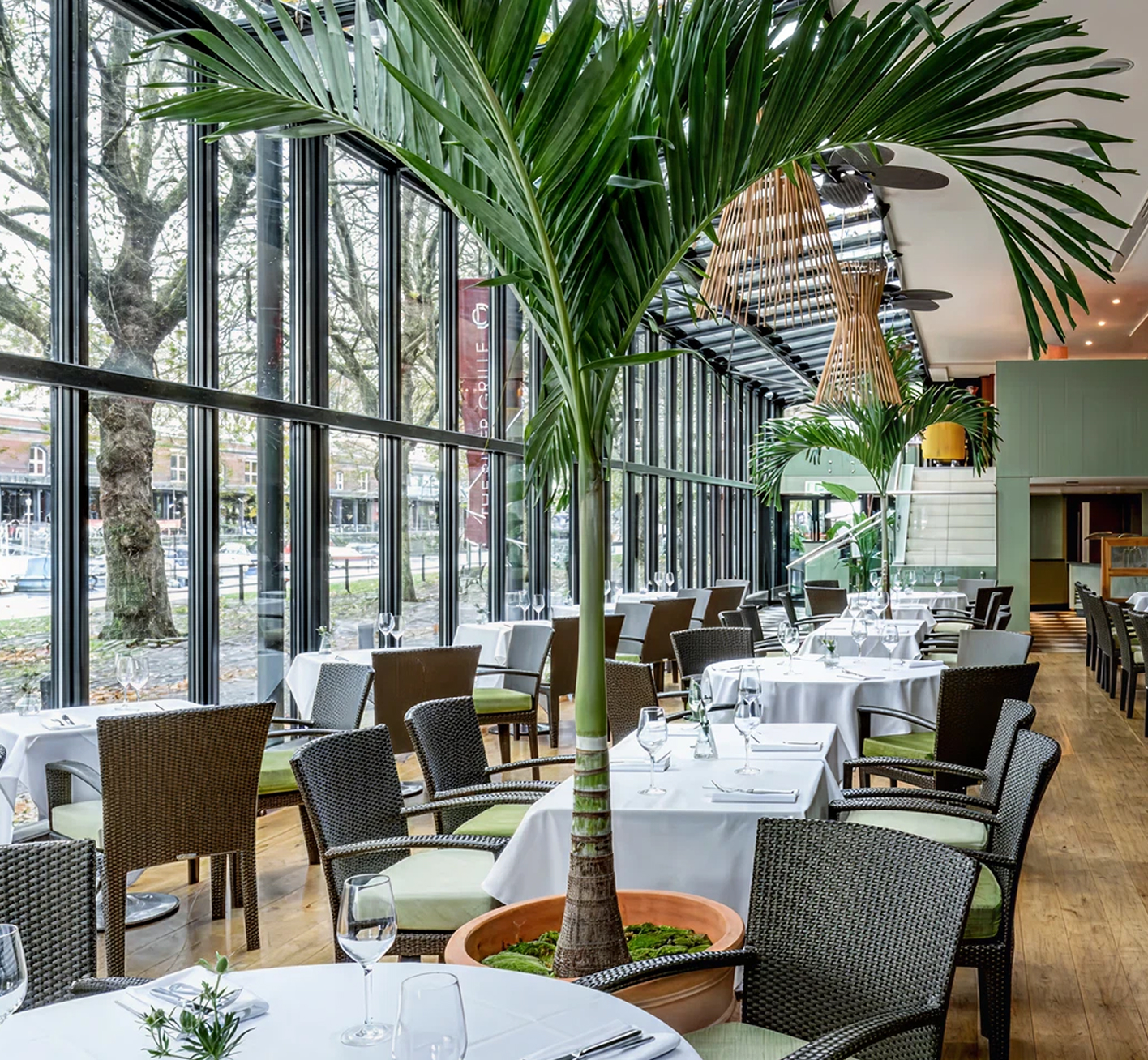 The Bristol, a modern hotel restaurant with large windows, Veitchia adonidia merrillii palms, and tables set with white linen and glassware.