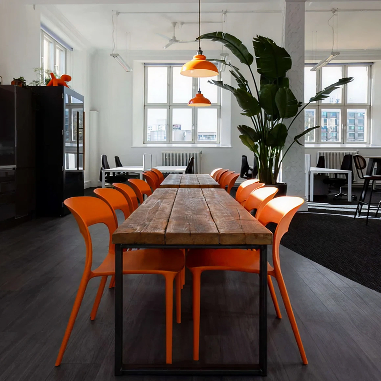 Long wooden table with bright orange chairs in TCN's modern co-working space, with large windows and statement Bird of Paradise plants.