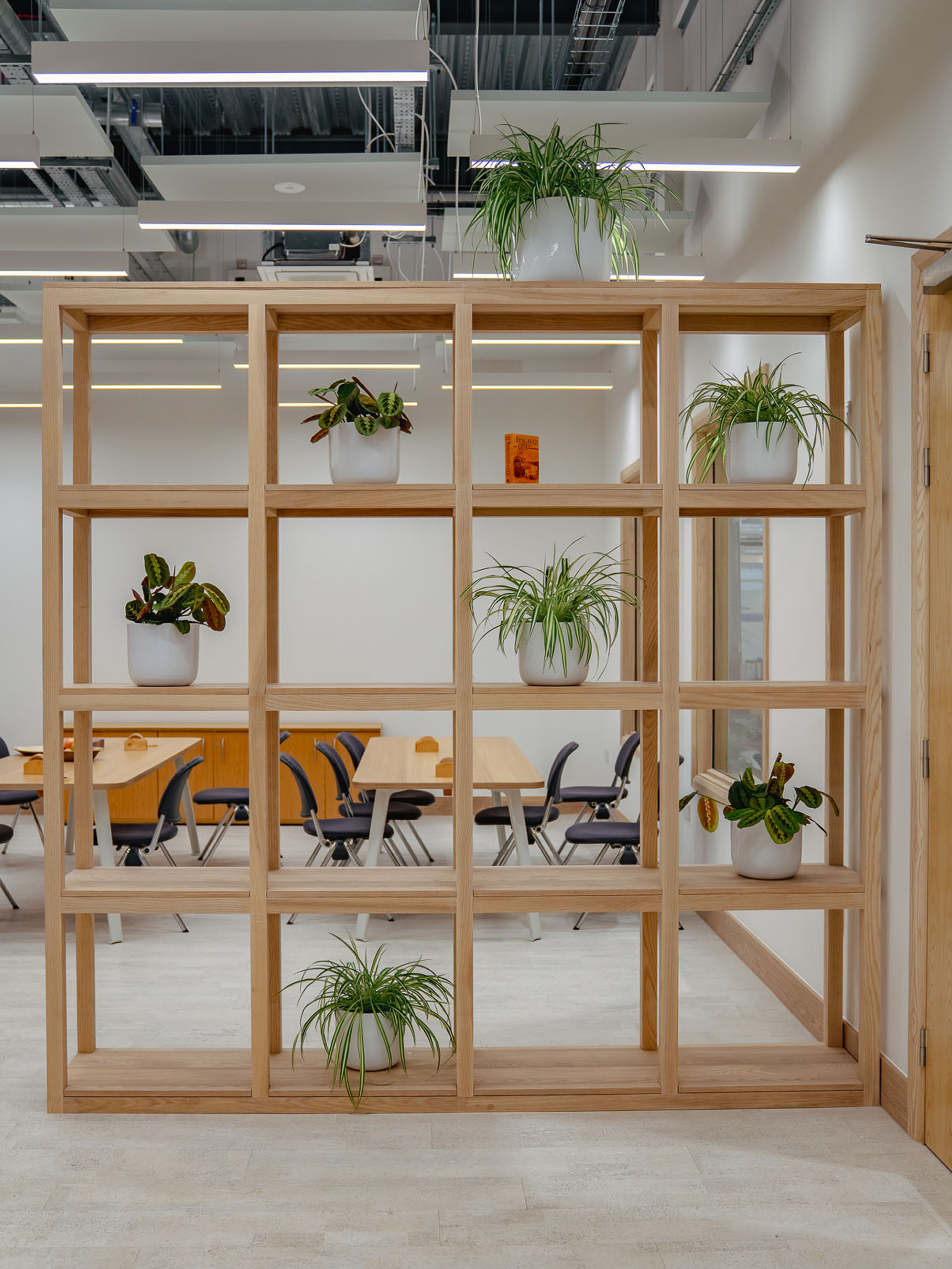 Wooden open shelf with seven potted plants in a modern office dining area with tables and chairs in the background.