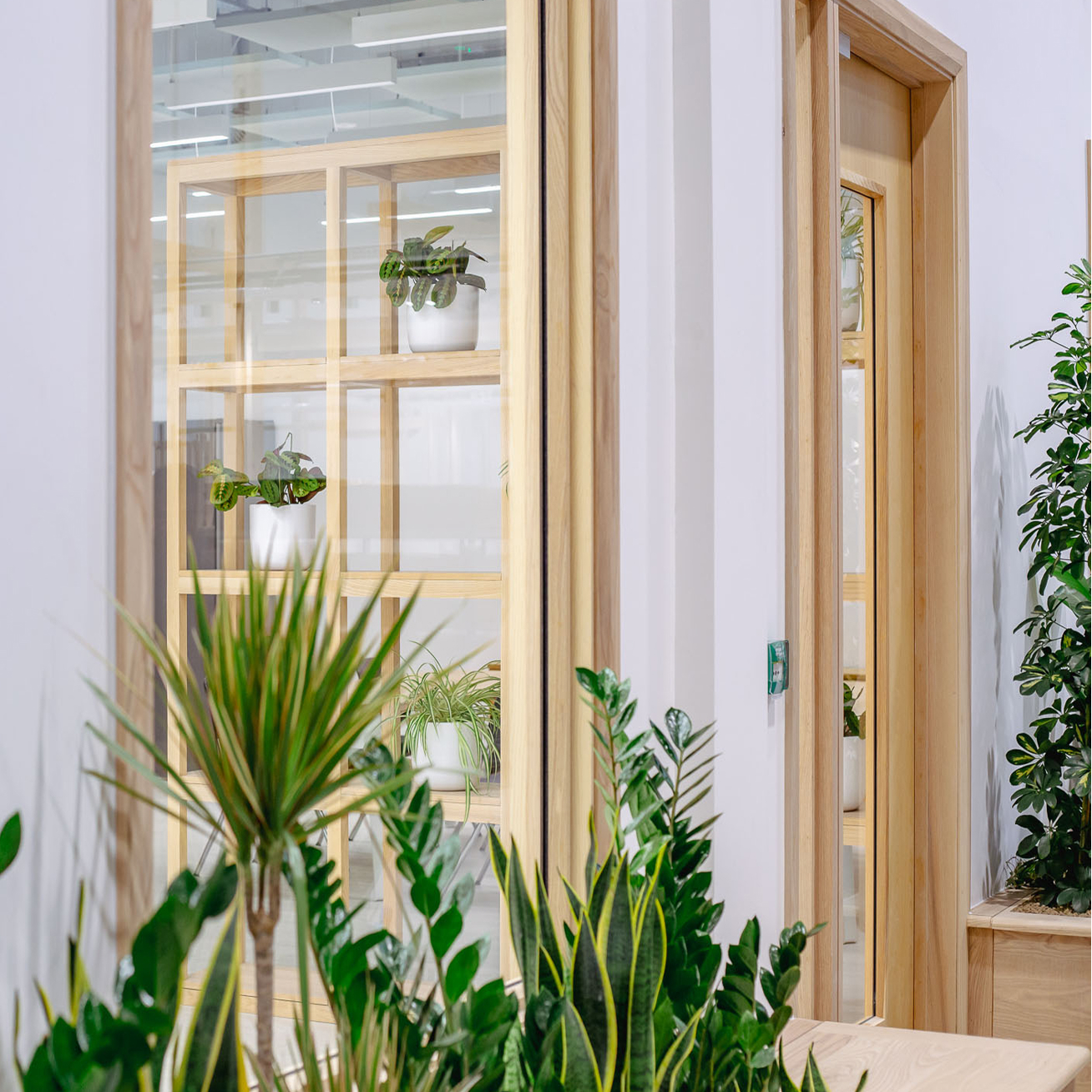 Bright modern office corner with a wooden door and shelving unit, styled with a variety of lush green plants.