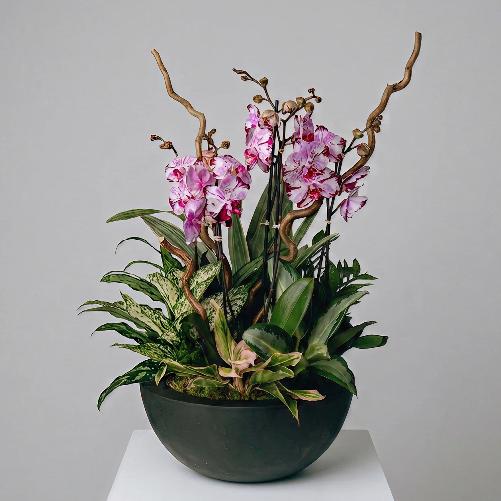 Black round pot filled with an arrangement of pink orchids, various green tropical plants, and decorative twisted branches.