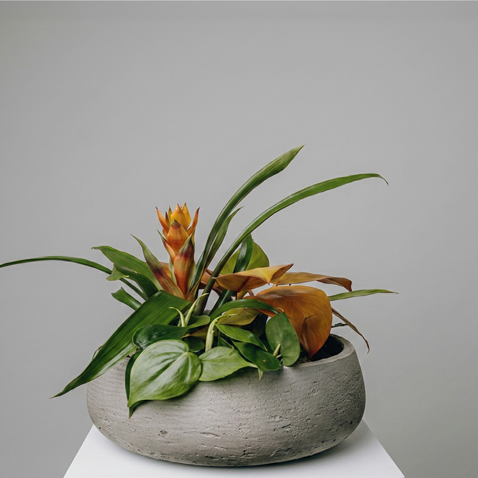Green and orange tropical plants in a round textured stone pot on a white surface against a gray background.
