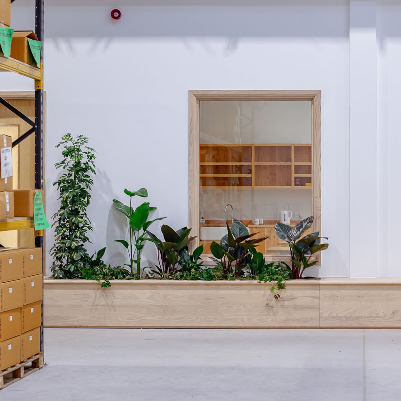 Indoor planter with green plants in front of a white wall with a window showing a kitchen area.