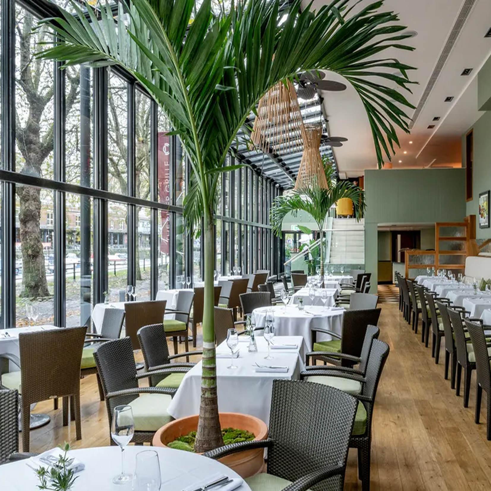 Bright restaurant with large windows, potted palm trees, white tablecloths, and wicker chairs.
