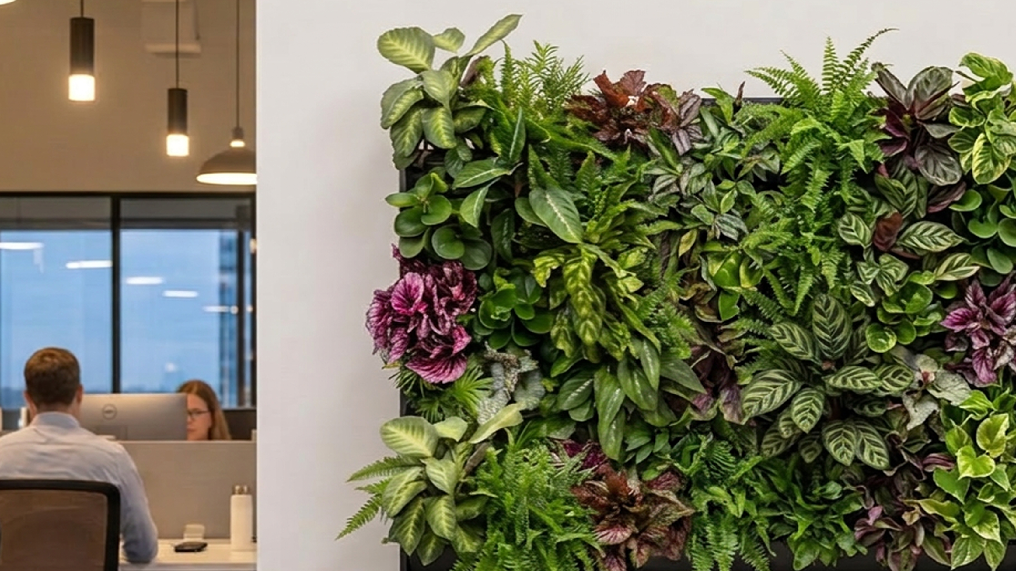 Living wall of various green and purple tropical plants in a modern office setting.