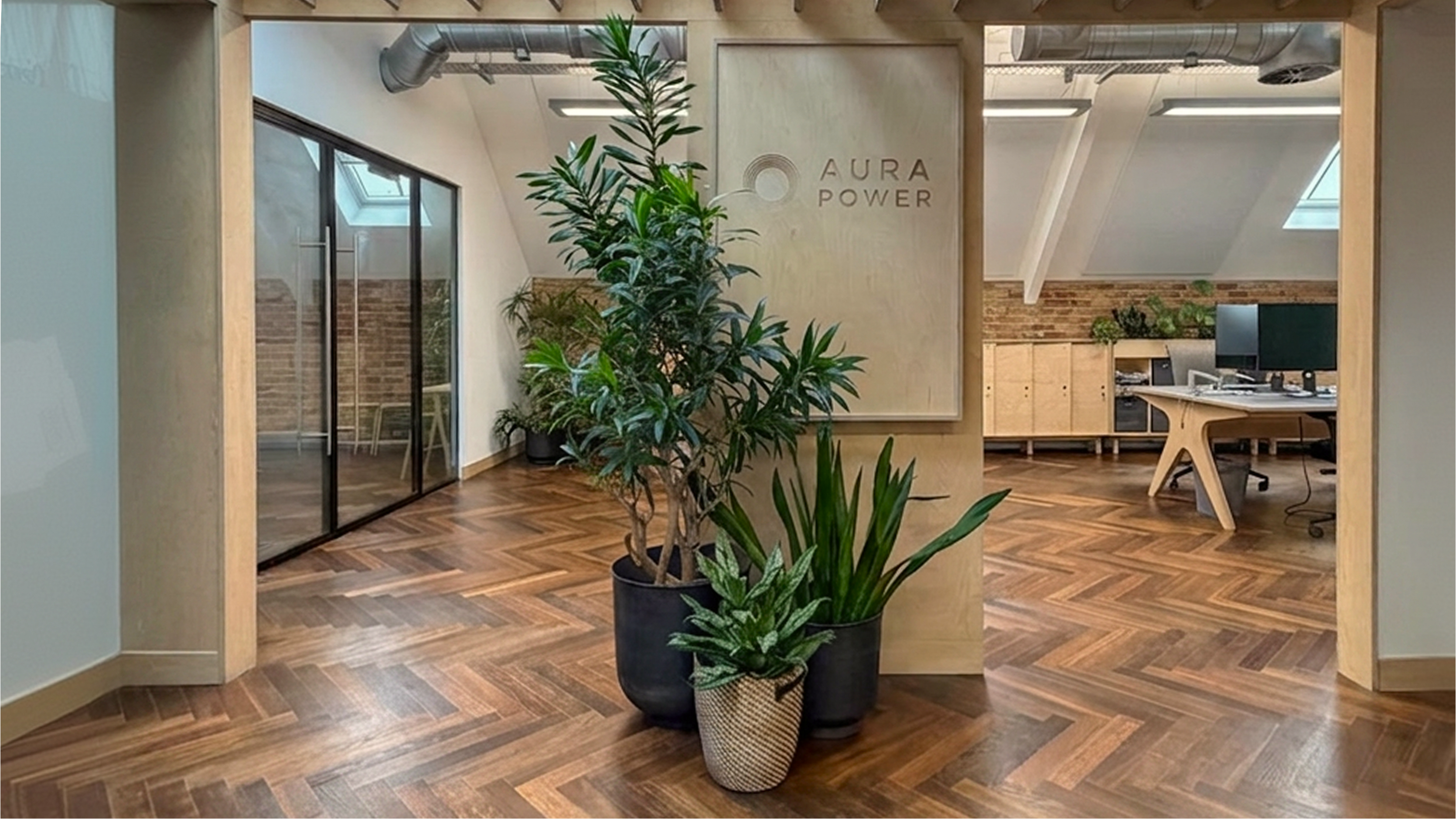 Modern office entrance with three potted green plants and a wooden sign reading Aura Power.
