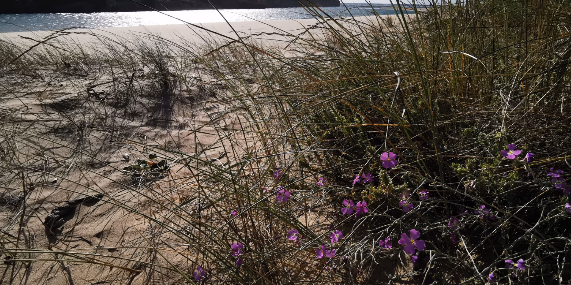 Luftaufnahme einer Küstenlinie mit blauem Meer, weißen Wellen und sandigem Strand vor bewachsenen Hügeln.