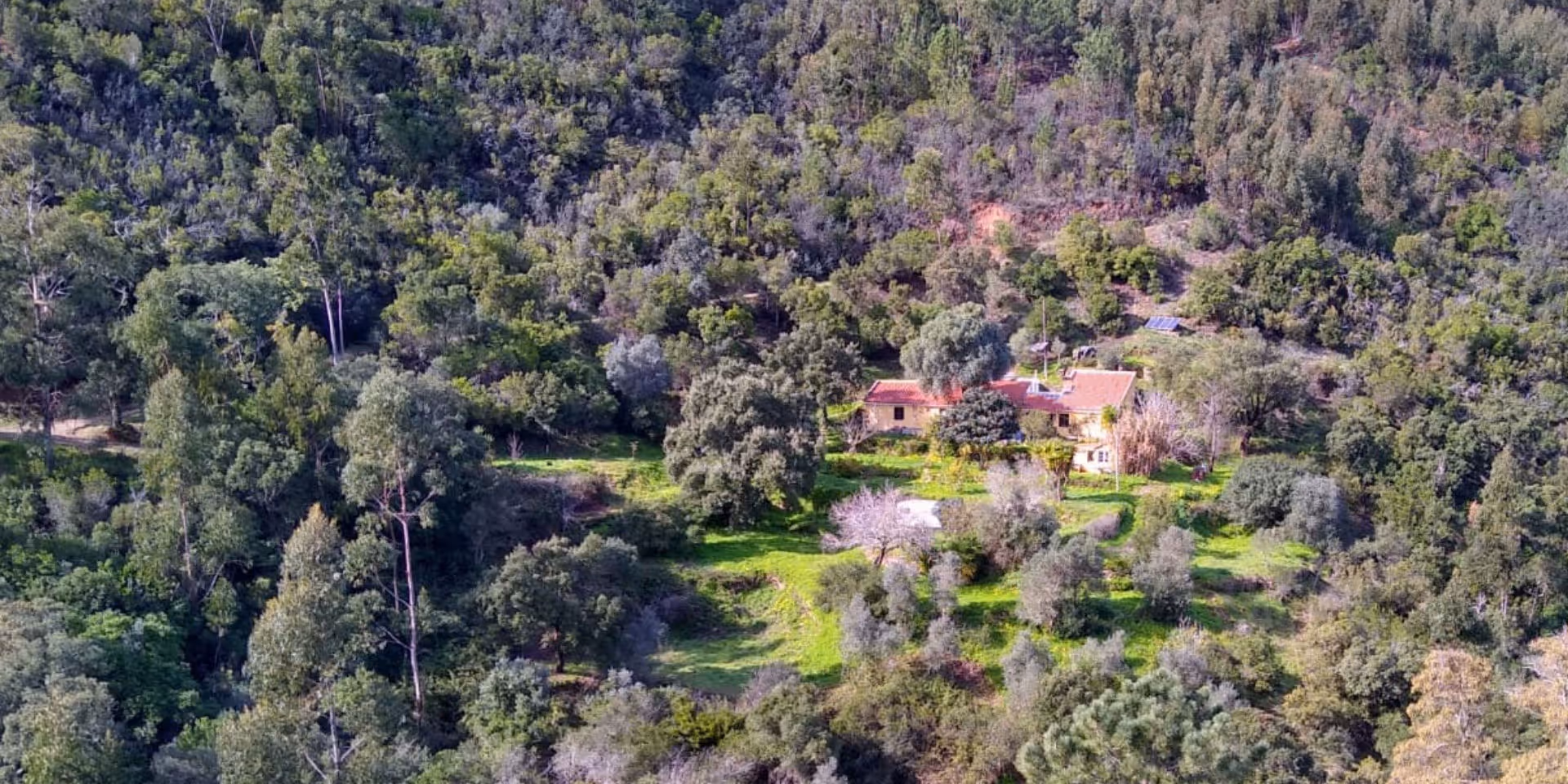 Ein Landhaus mit roten Ziegeldach, umgeben von üppigem Grün und Bäumen in hügeliger Landschaft.