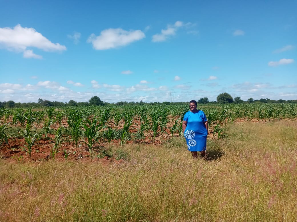 Woman in a blue dress standing in a grassy field next to a cornfield under a partly cloudy sky.