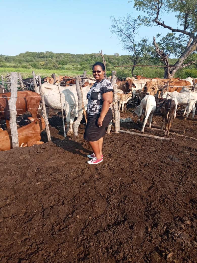 Woman in a black floral shirt and skirt standing in a fenced area with cattle and green trees in the background.