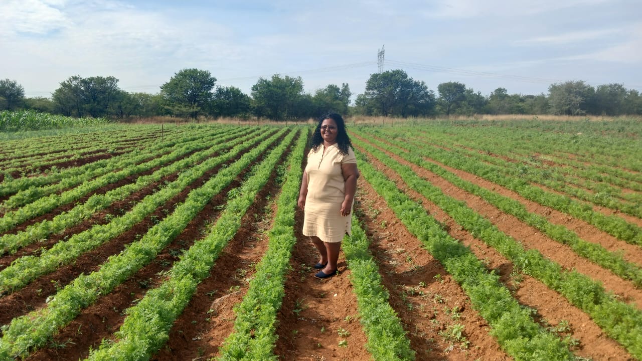 Woman standing in the middle of a green carrot field with neatly planted rows under a partly cloudy sky.