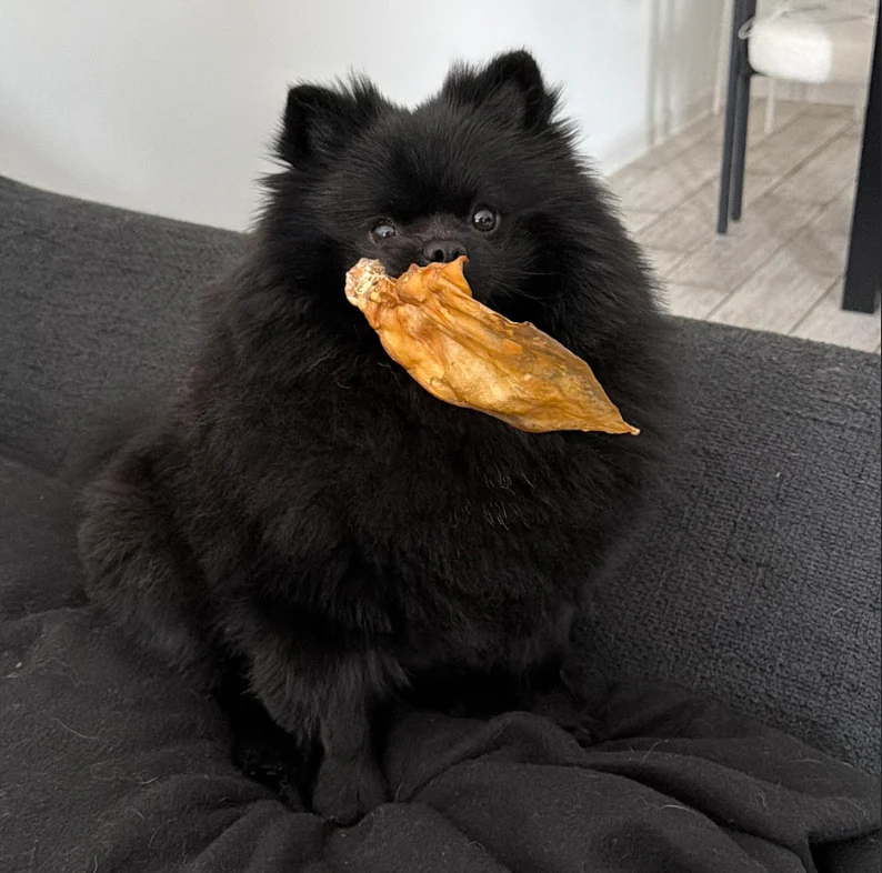 Chew You Later Box Contents