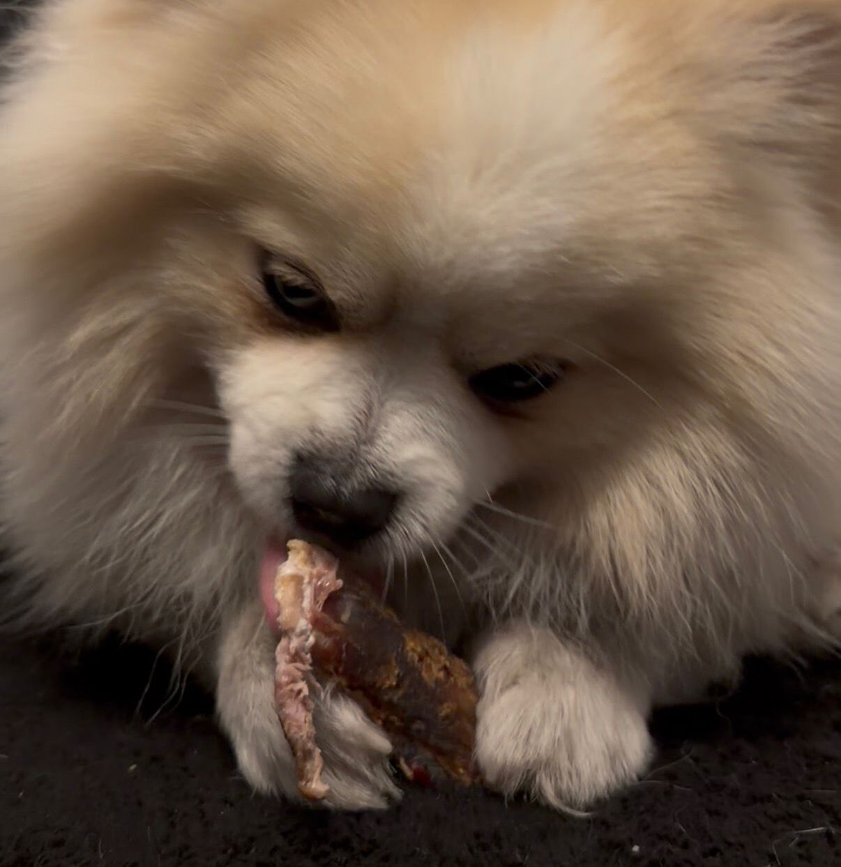 Chew You Later Box