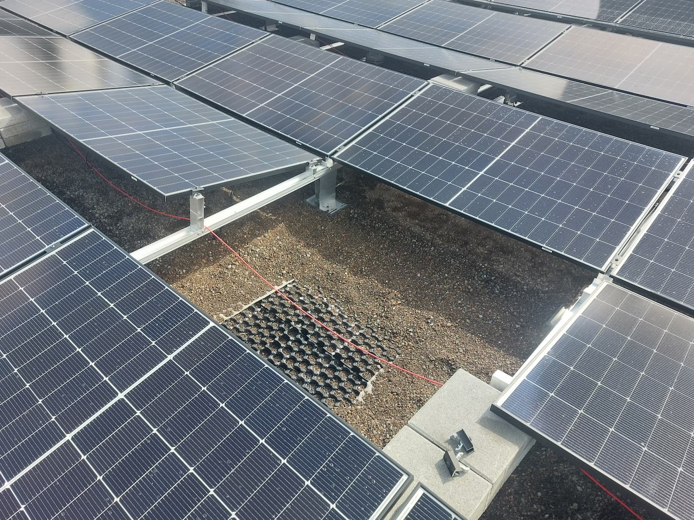 Aufgeständerte Solarmodule auf Gründach in Brügg – Solarmaa