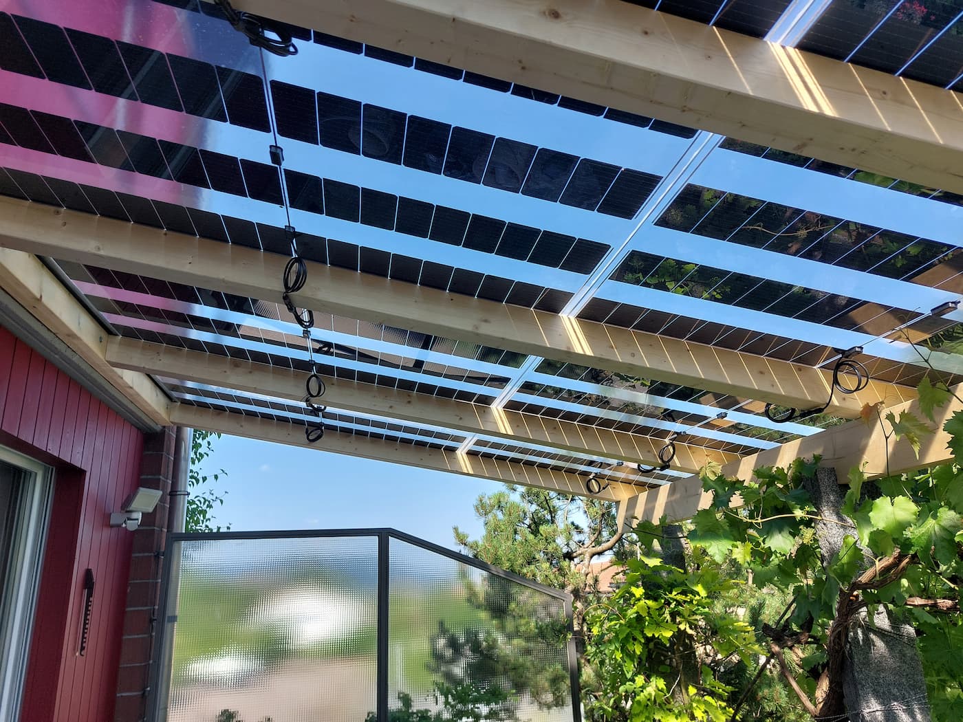 Untersicht der semitransparenten SoliTek-Agro-Module – Tageslicht fällt zwischen den Zellen durch