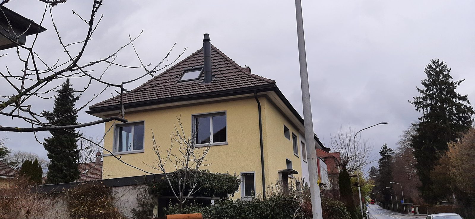 Blick über das Garagendach mit den umliegenden hohen Bäumen