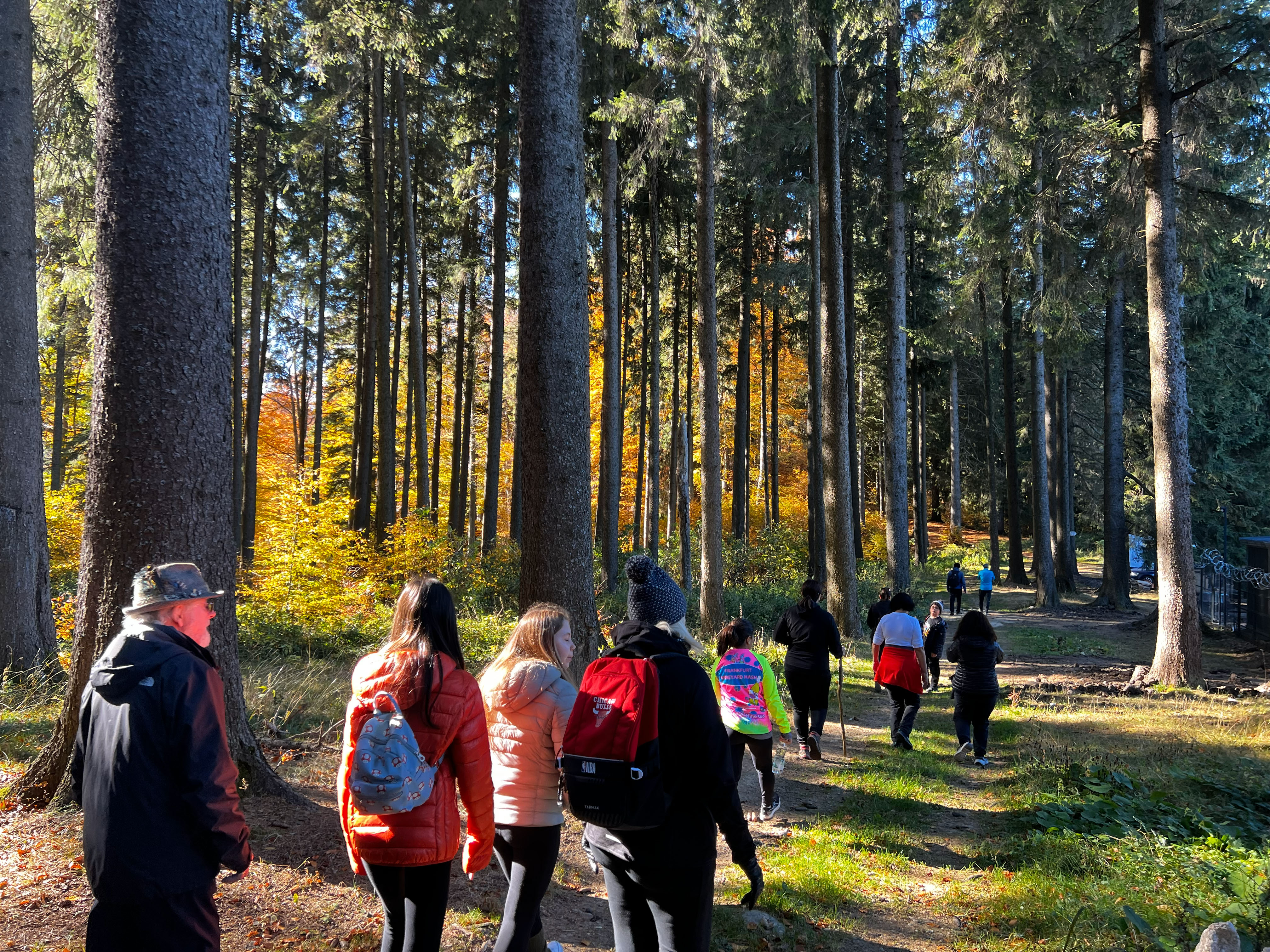 nervous system regulation nature session