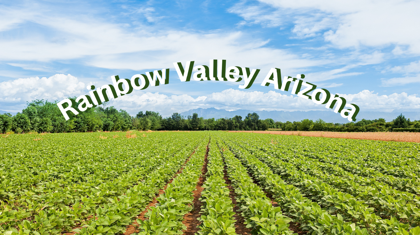 Organic Food Farm - Farm Webflow Template