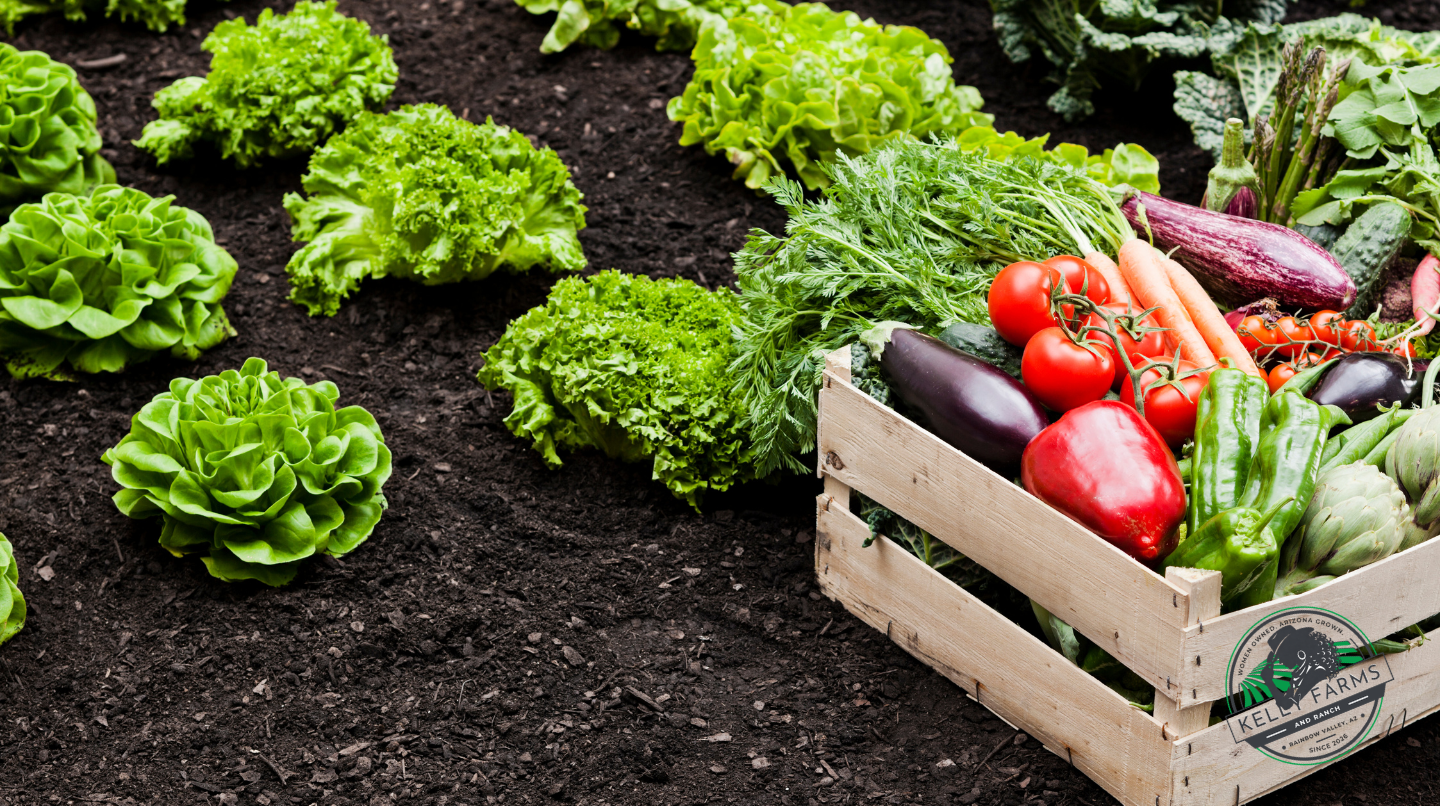 Our Farm - Farm Webflow Template