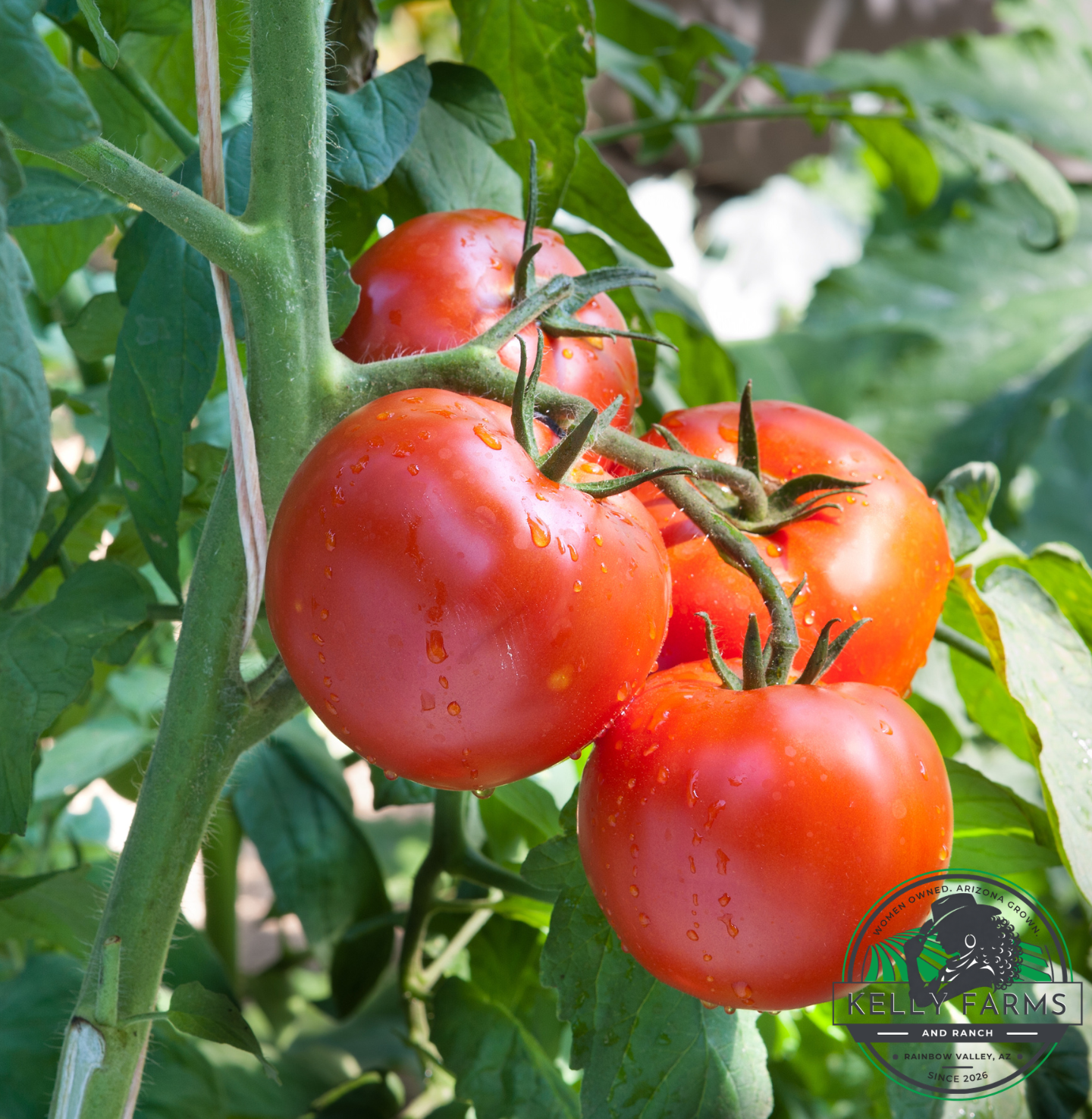 Farm Mission & Story - Farm Webflow Template