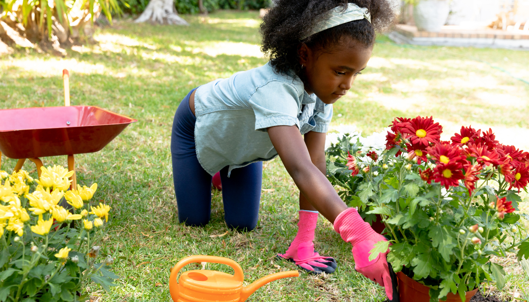 Teaching Kids Where Food Comes From