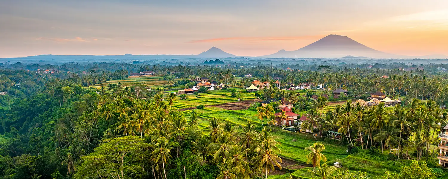 Paysage aérien de Bali montrant la jungle et les rizières pour comparaison des zones d'investissement