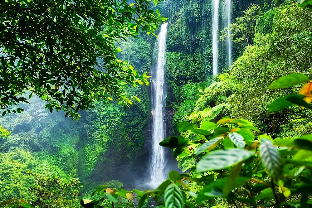 Waterfall in the Balinese jungle