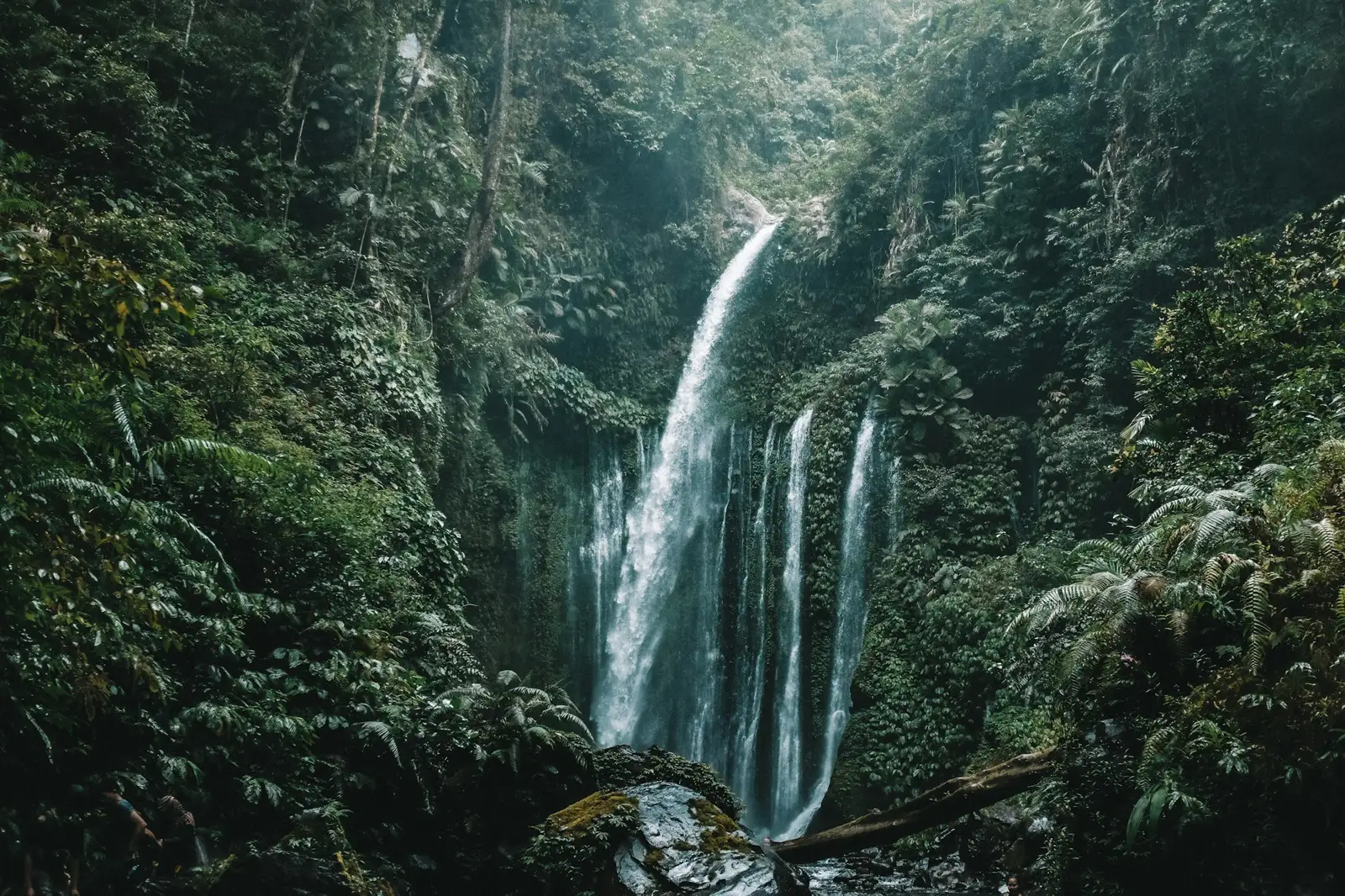 Grande cascade au milieu de la jungle à Lombok