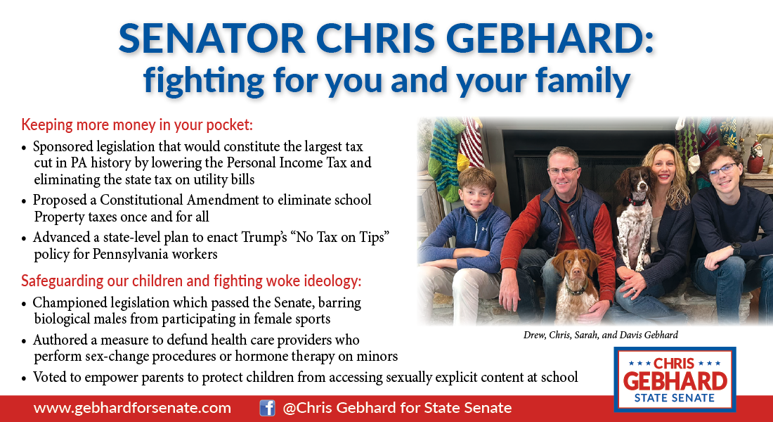Senator Chris Gebhard campaign flyer featuring a family photo with Chris Gebhard, two children, a woman, and two dogs sitting in front of a fireplace, alongside text highlighting his legislative priorities on tax cuts and safeguarding children.
