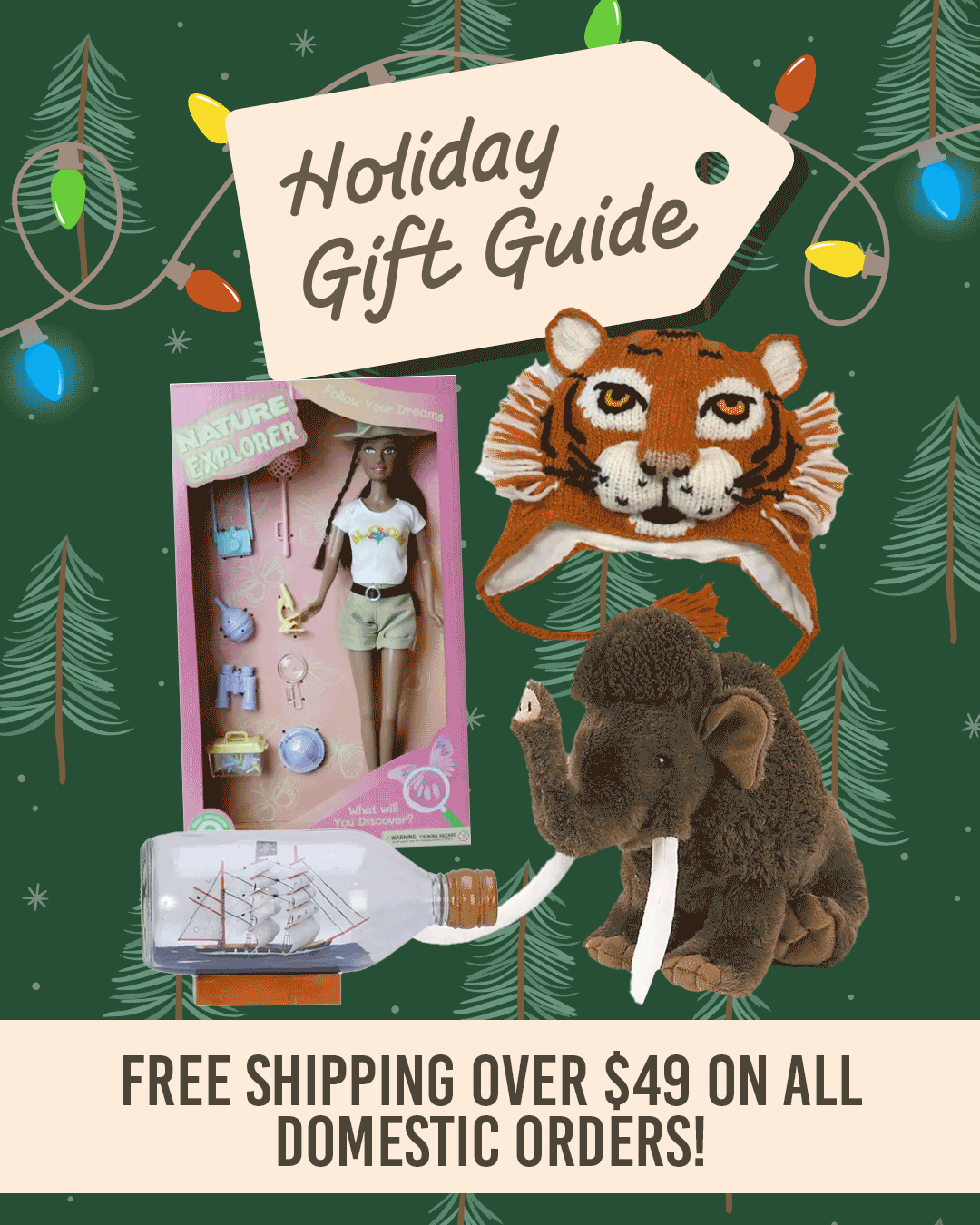 Gallery Single Image