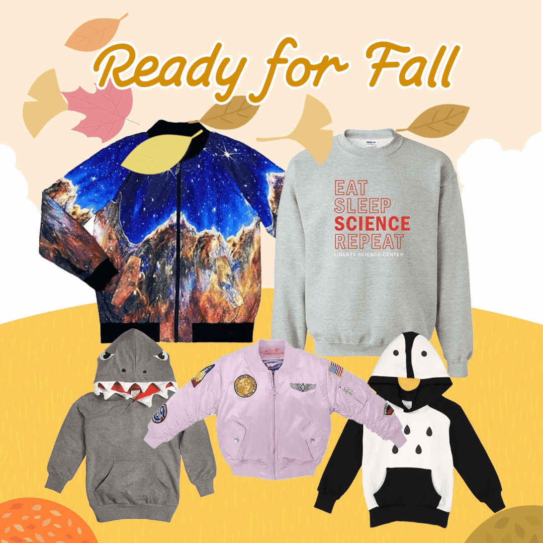 Gallery Single Image