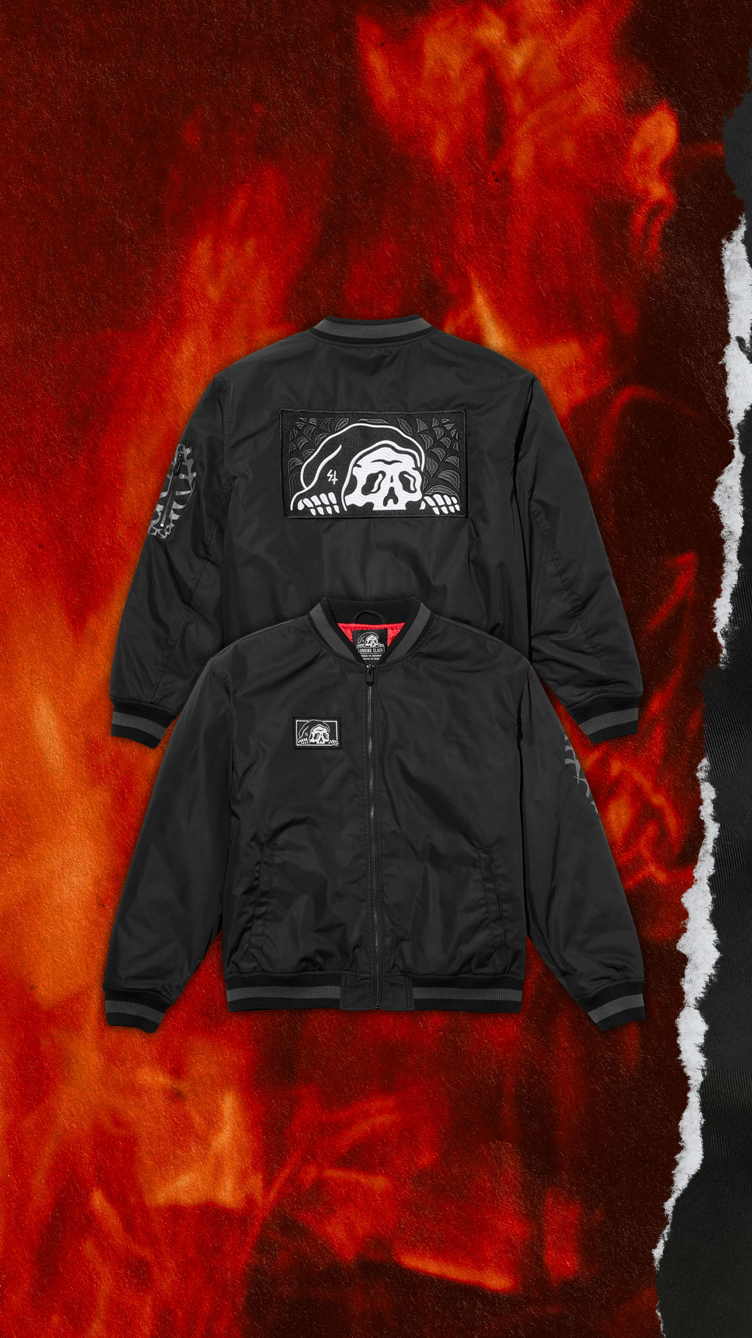 Gallery Single Image