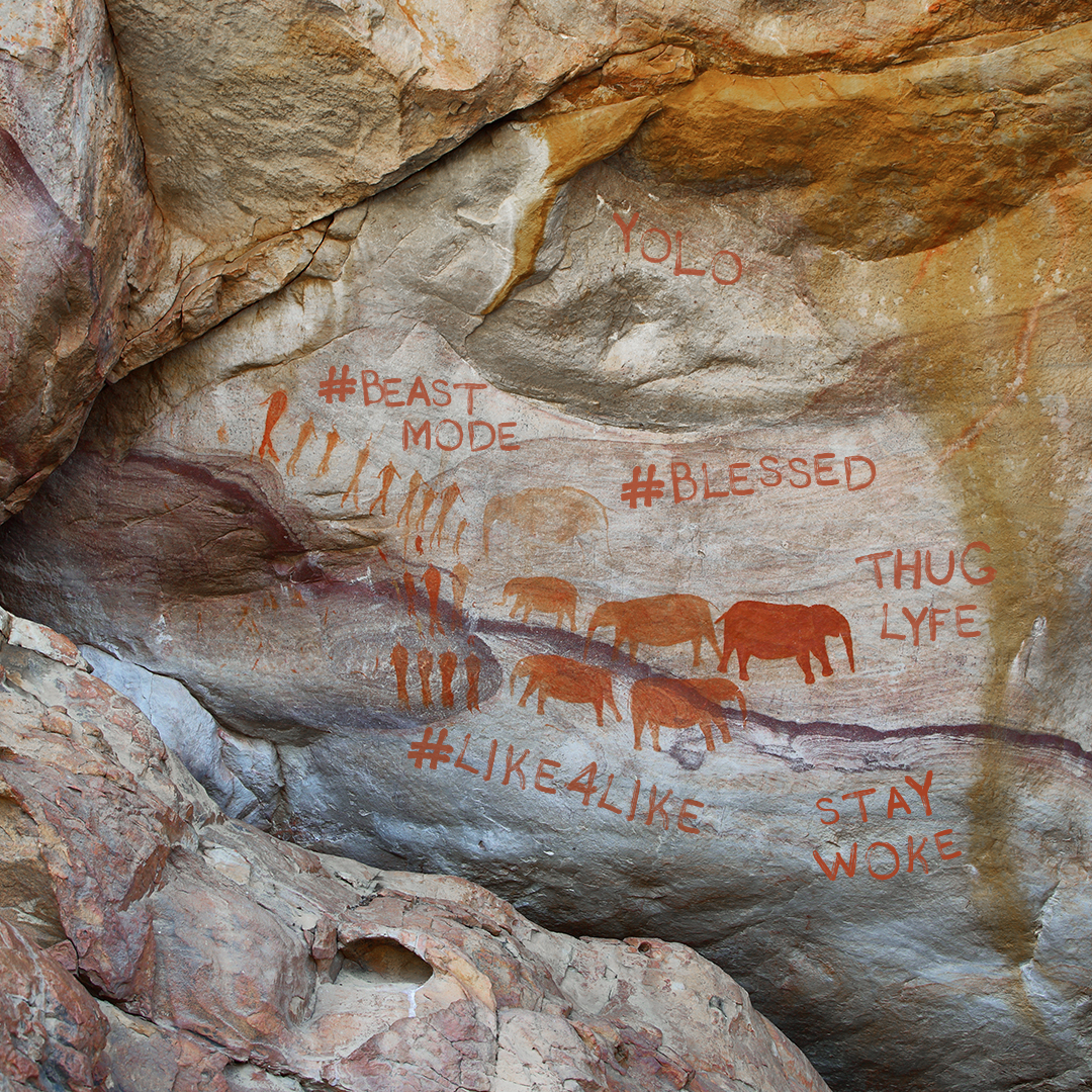 Gallery Single Image