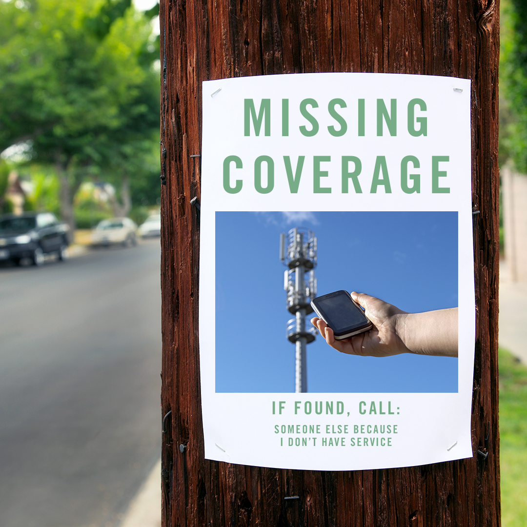 Gallery Single Image