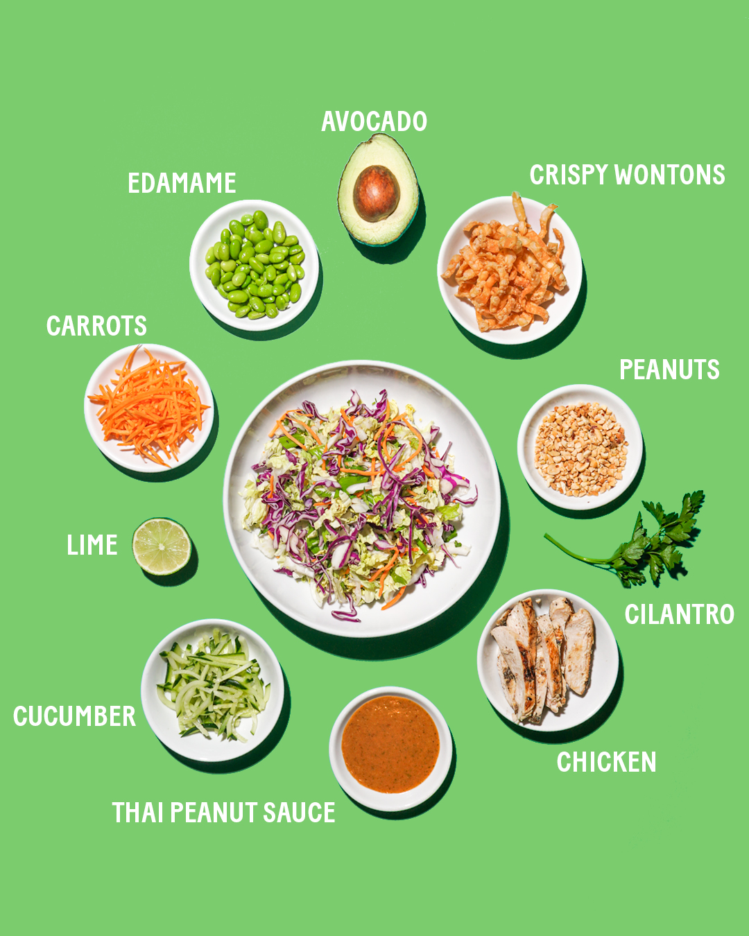 Gallery Single Image