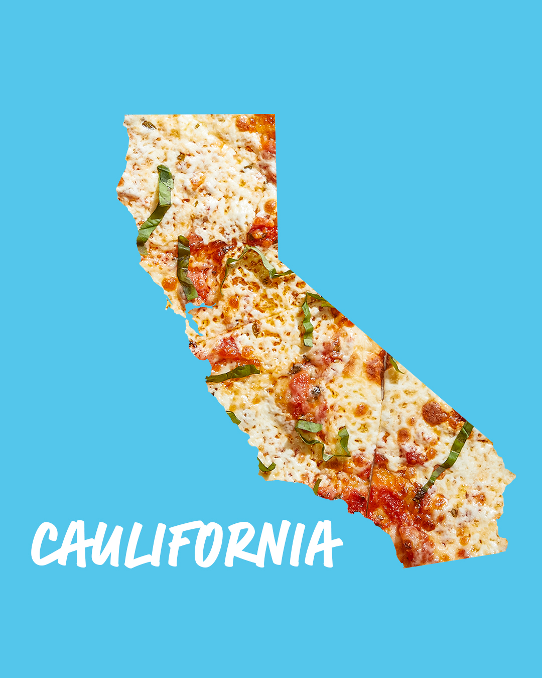 Gallery Single Image