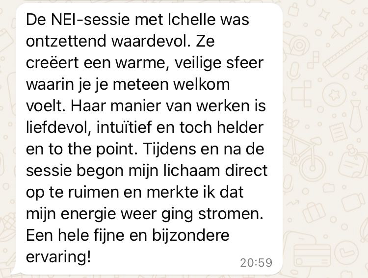 NEI therapie review