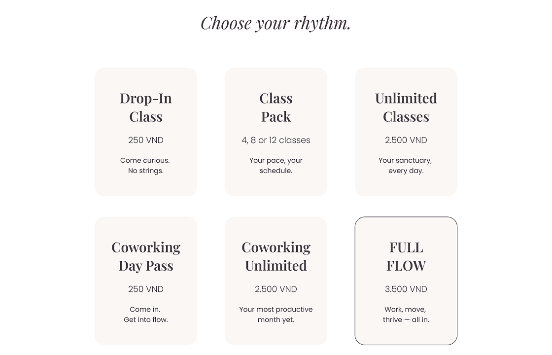 image of pricing structure section from divine studio's website