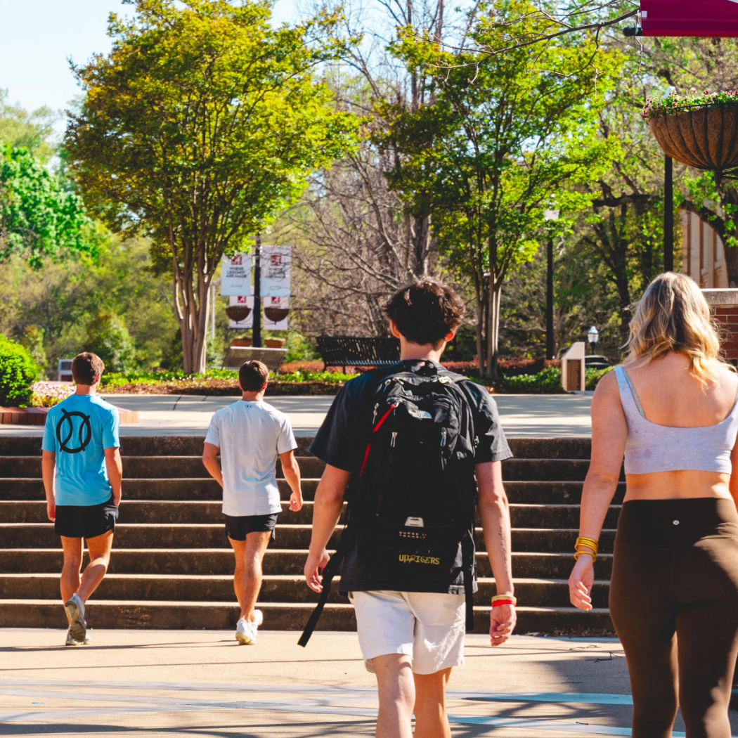 Four students walking up wide outdoor steps on a sunny, tree-lined walkway with banner-topped lamp posts