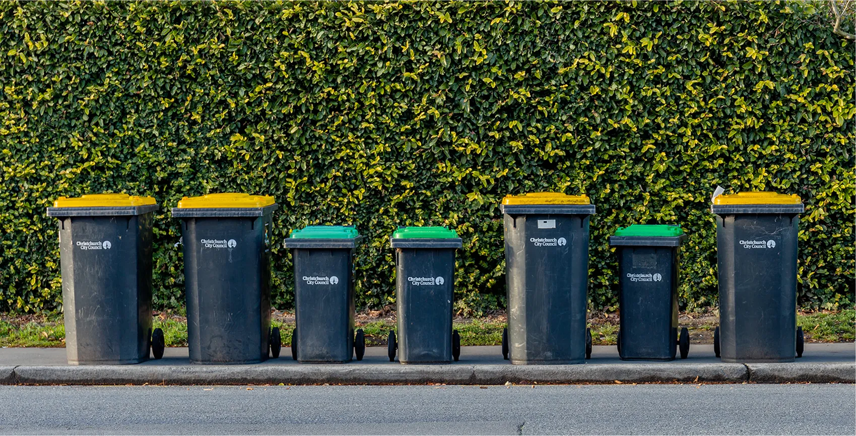 Seven black Christchurch City Council trash bins with yellow and green lids lined up on a curb with green leafy hedge background.