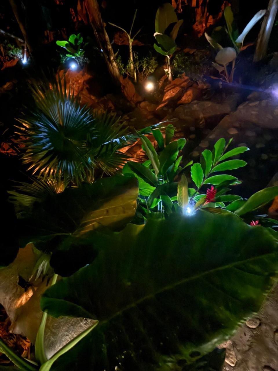 Plantas tropicales iluminadas por luces pequeñas en un jardín nocturno. Akatowari hotel santa marta.