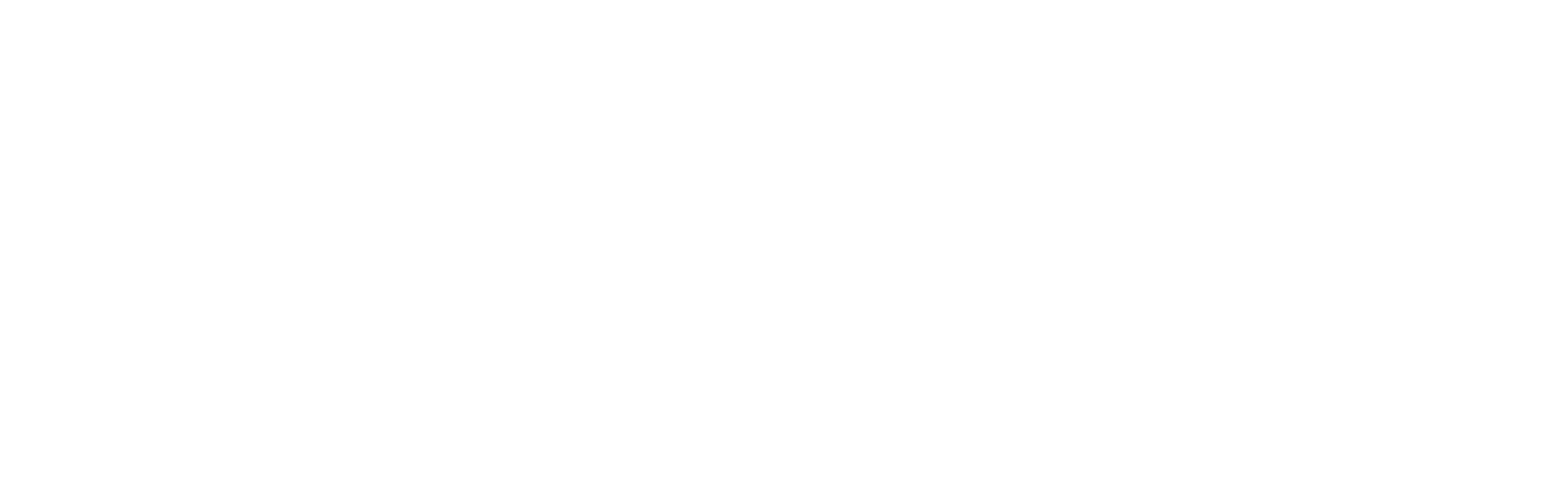 Kinetisense 360* AI Logo