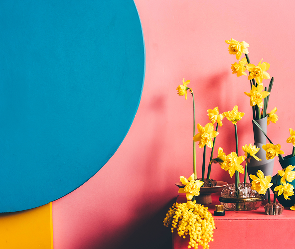 Inside the Mind of a Modern Creator