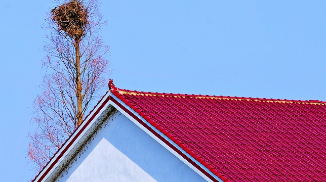 our-work-item-thumbnail