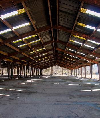 service-item-single-image