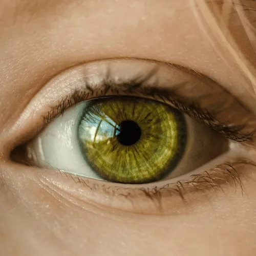 What To Do To Maintain Healthy Eyes
