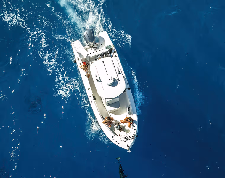 A direct overhead shot of Hawaii Apex Charters boat driving, with dolphins surrounding in clear blue water.