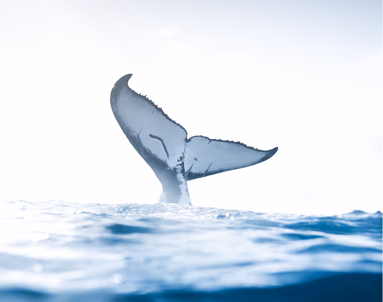 The surface of the ocean with a whale tale sticking straight up out of the water.